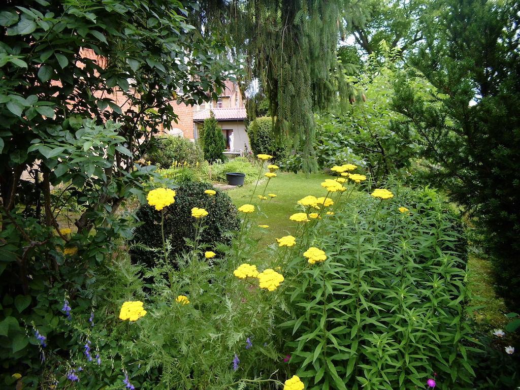 Ferienwohnung Markert แบลงเคนบวร์ก ภายนอก รูปภาพ
